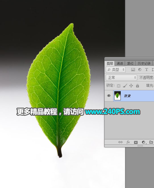Photoshop合成创意的树叶中的茶山图片合成教程