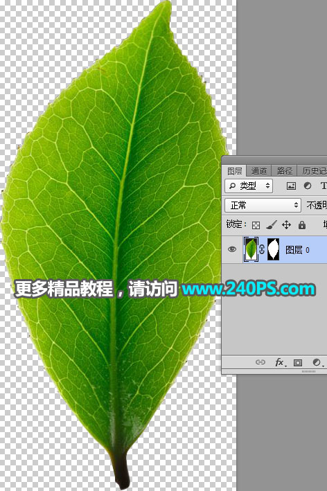 Photoshop合成创意的树叶中的茶山图片合成教程