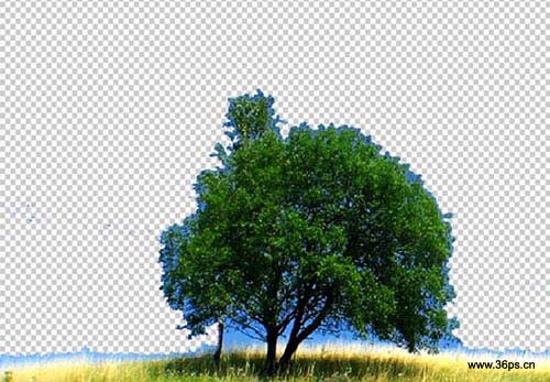 Photoshop合成乌云密布效果的草原照片制作教程