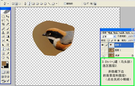 动画图片,Photoshop制作小鸟张嘴鸣叫动画图片