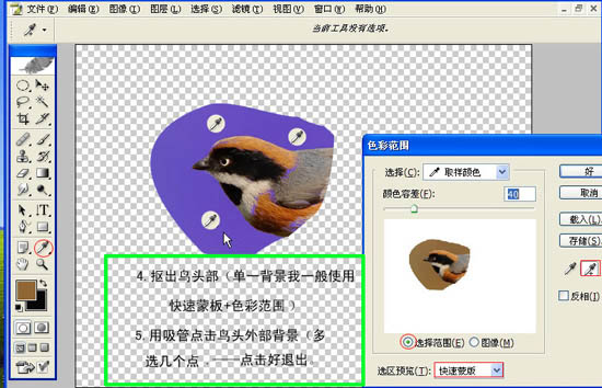 动画图片,Photoshop制作小鸟张嘴鸣叫动画图片