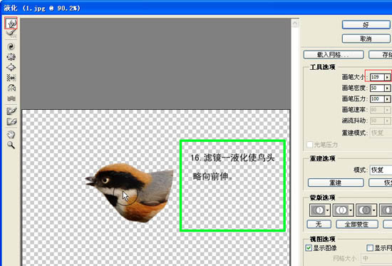 动画图片,Photoshop制作小鸟张嘴鸣叫动画图片