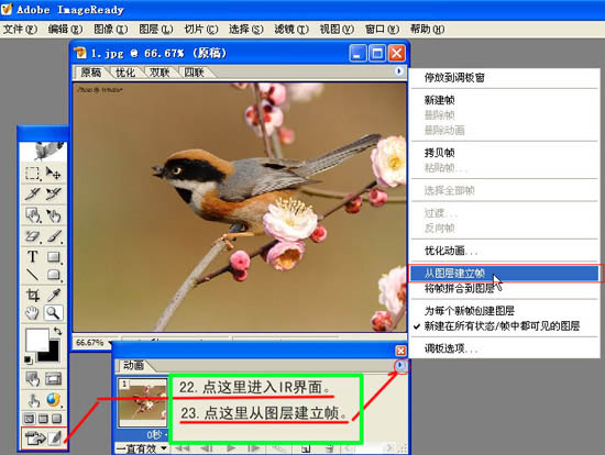 动画图片,Photoshop制作小鸟张嘴鸣叫动画图片