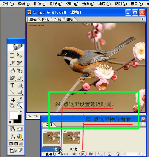动画图片,Photoshop制作小鸟张嘴鸣叫动画图片