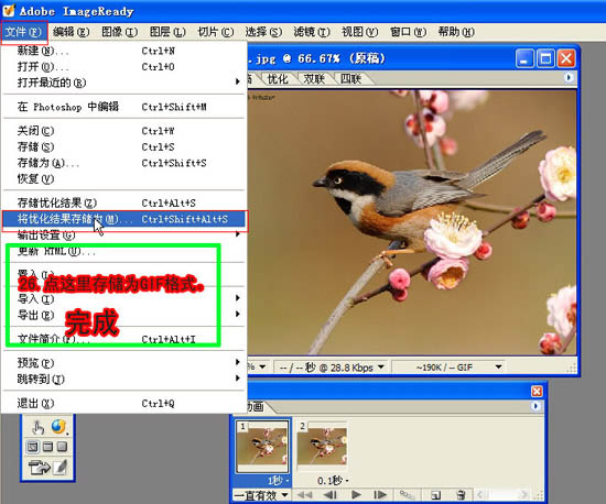 动画图片,Photoshop制作小鸟张嘴鸣叫动画图片