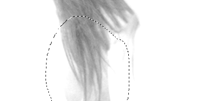 PS通道抠图:使用Photoshop快速抠出飘逸的长发美女教程