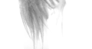 PS通道抠图:使用Photoshop快速抠出飘逸的长发美女教程