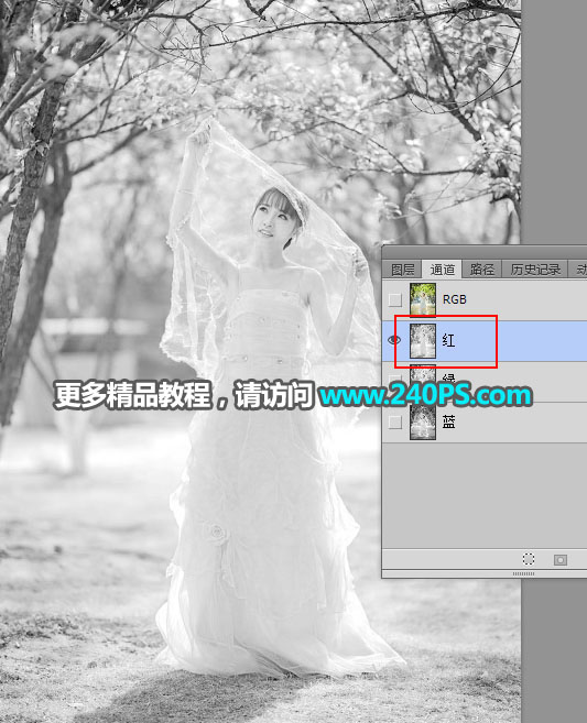 PS抠图抠出披着透明婚纱的新娘婚纱照片抠图教程