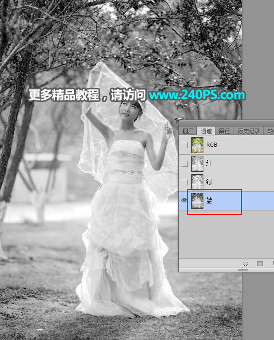 PS抠图抠出披着透明婚纱的新娘婚纱照片抠图教程