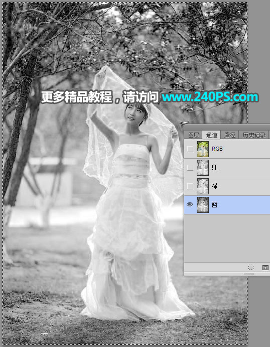 PS抠图抠出披着透明婚纱的新娘婚纱照片抠图教程