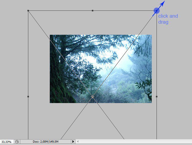 Photoshop合成梦幻森林中的童话世界图片教程