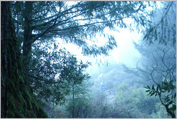 Photoshop合成梦幻森林中的童话世界图片教程