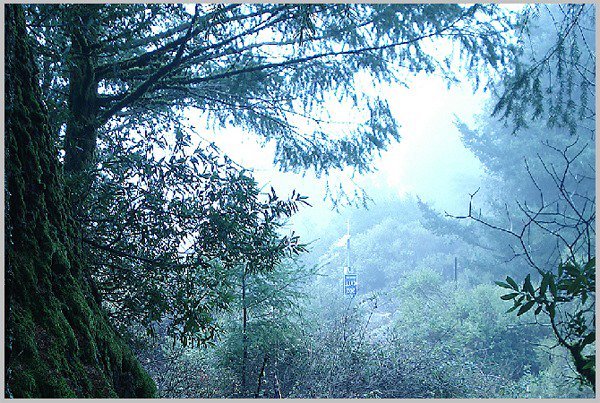 Photoshop合成梦幻森林中的童话世界图片教程