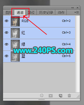 Photoshop抠出毛茸茸的雪中灰狼图片抠图教程