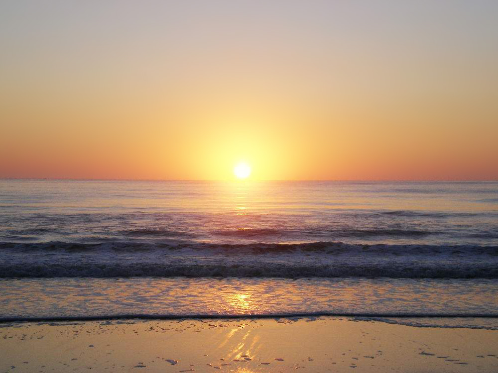 Photoshop合成创意的手掌双重曝光效果