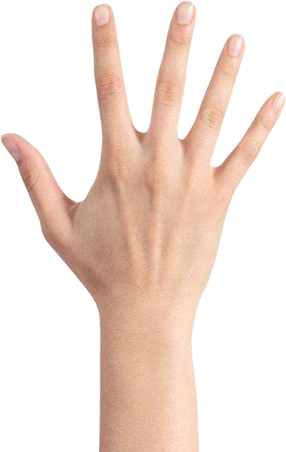 Photoshop合成创意的手掌双重曝光效果