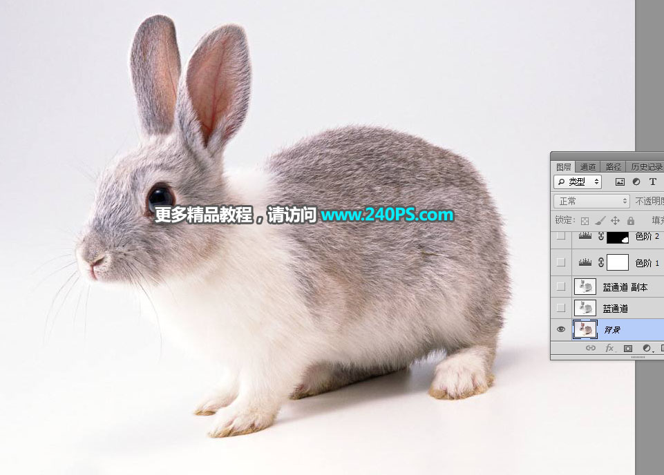 Photoshop使用钢笔和通道抠出兔子教程