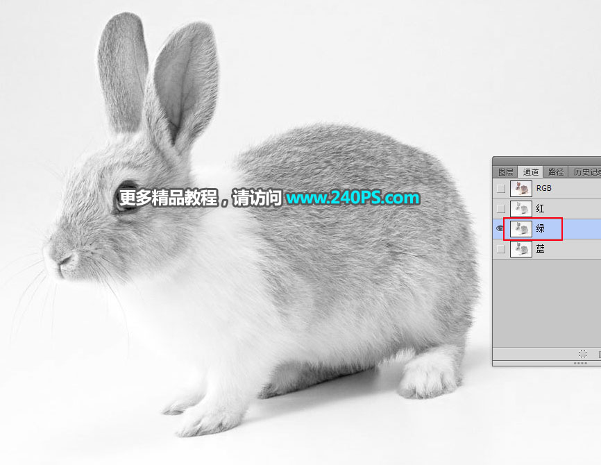 Photoshop使用钢笔和通道抠出兔子教程