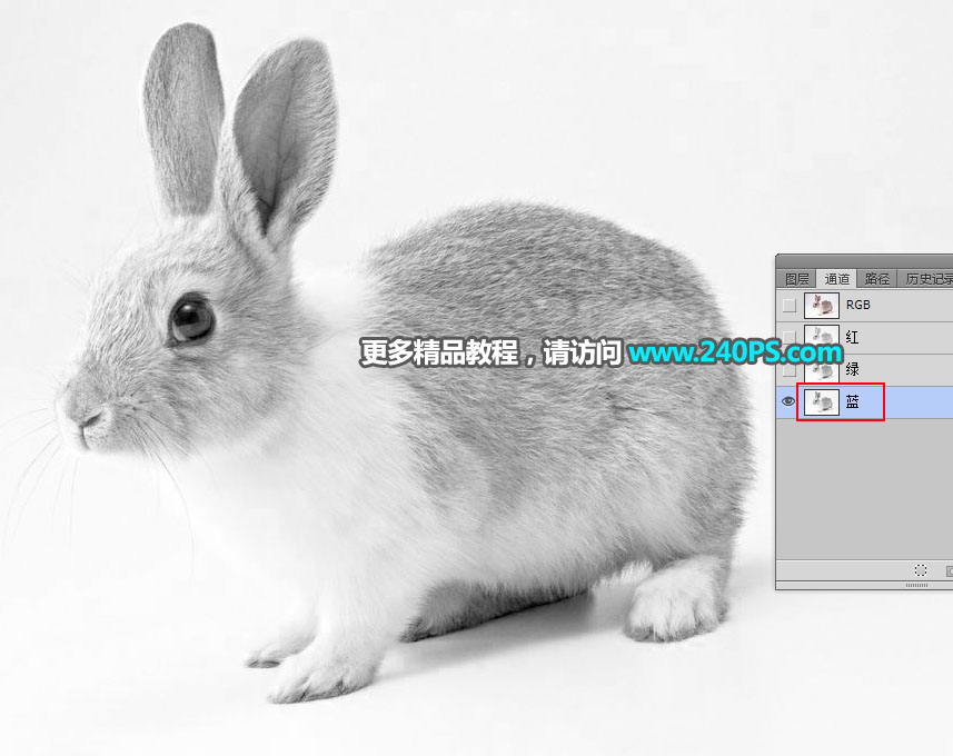 Photoshop使用钢笔和通道抠出兔子教程
