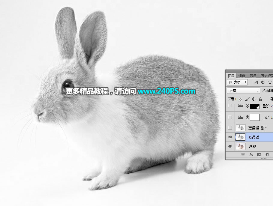 Photoshop使用钢笔和通道抠出兔子教程