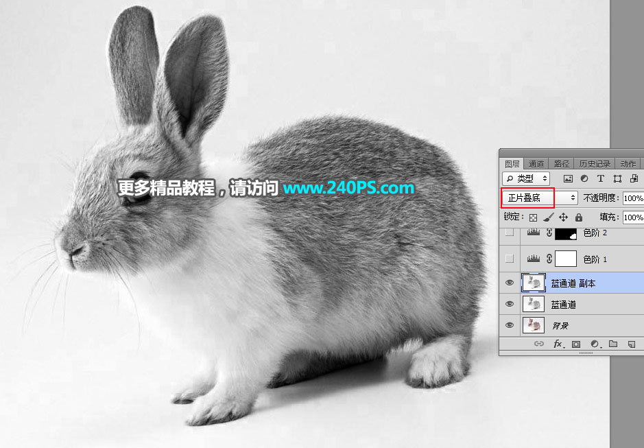 Photoshop使用钢笔和通道抠出兔子教程