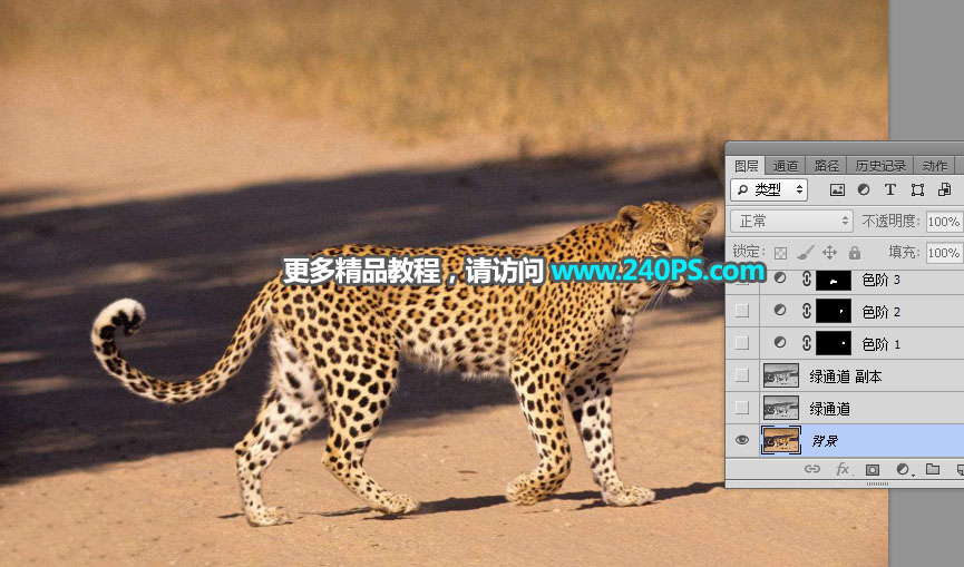 巧用Photoshop通道工具快速抠出豹子图像抠图教程