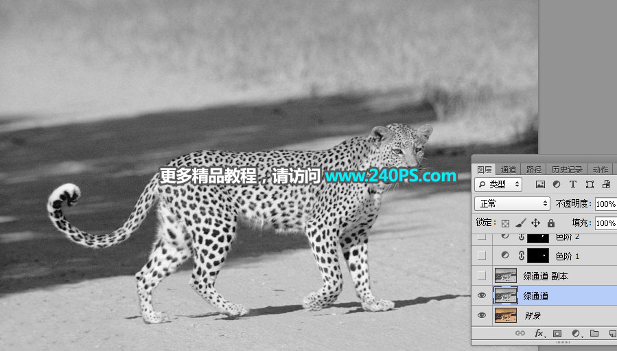 巧用Photoshop通道工具快速抠出豹子图像抠图教程