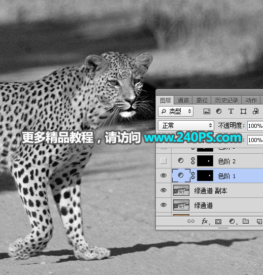 巧用Photoshop通道工具快速抠出豹子图像抠图教程
