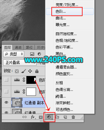 Photoshop通道抠图快速抠出毛茸茸的小松鼠图片