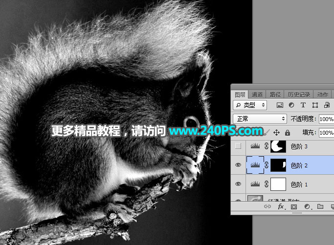 Photoshop通道抠图快速抠出毛茸茸的小松鼠图片