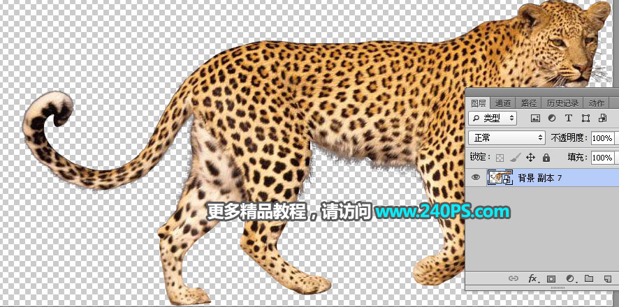 Photoshop制作花豹照片唯美二次曝光效果合成教程