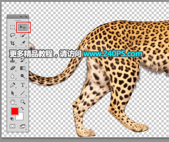 Photoshop制作花豹照片唯美二次曝光效果合成教程
