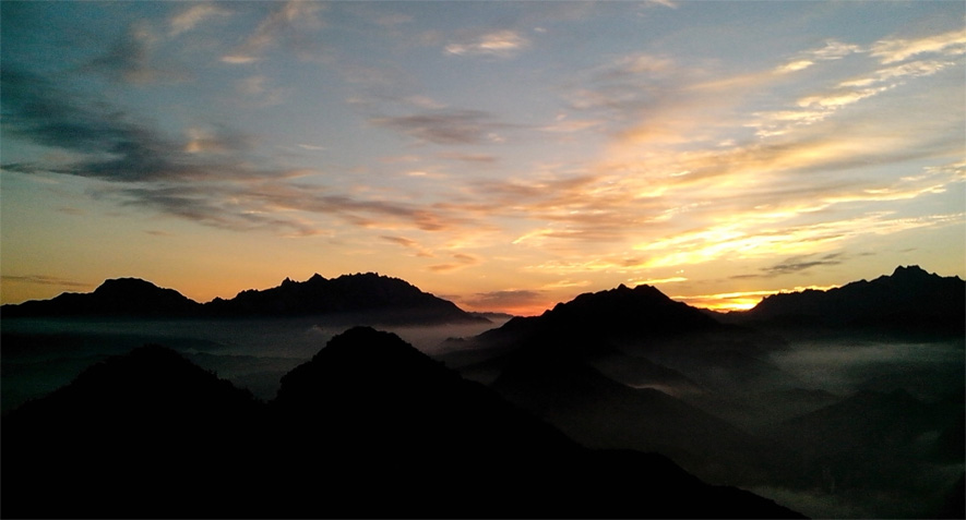 Photoshop制作花豹照片唯美二次曝光效果合成教程